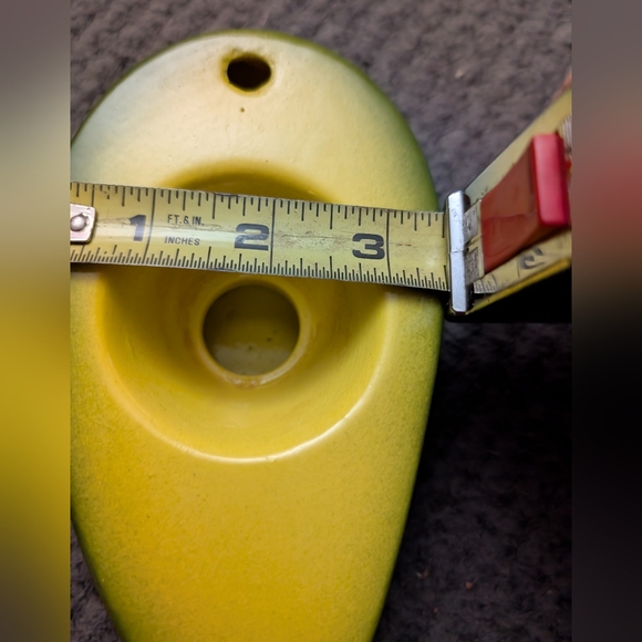 Grow Your Own Avocado 🥑 Tree - Picture 7 of 9